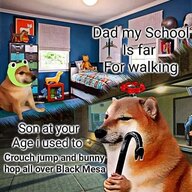 DutchDoge