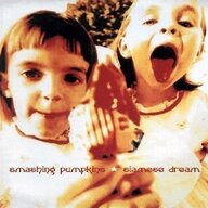 SiameseDream99
