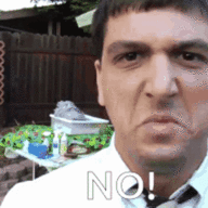 Givememyroms420