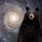 spacebear