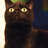 Glossy Cat