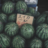 gwardojones