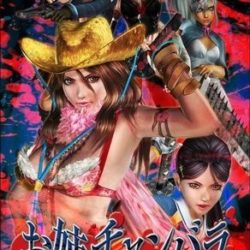 OneChanbara Special