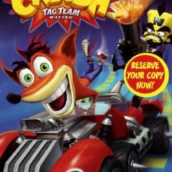 Crash Tag Team Racing