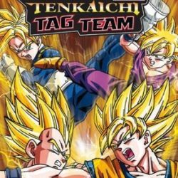 Dragon Ball Z: Tenkaichi Tag Team
