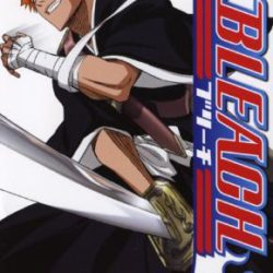 Coverart of Bleach: Heat the Soul