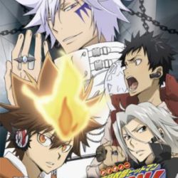 Katekyoo Hitman Reborn! Kizuna no Tag Battle