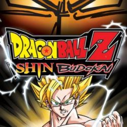 Dragon Ball Z: Shin Budokai