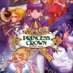 Princess Crown