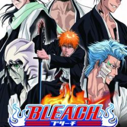 Coverart of Bleach: Soul Carnival 2