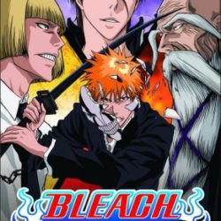 Bleach: Heat the Soul 7