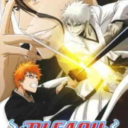 Bleach: Heat the Soul 4