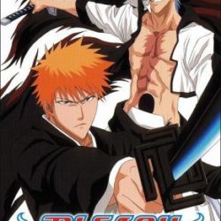 Bleach: Heat the Soul 5