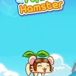 The Flying Hamster