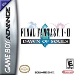 Final Fantasy I & II: Dawn of Souls (Maeson)