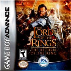 The Lord of the Rings: The Return of the King