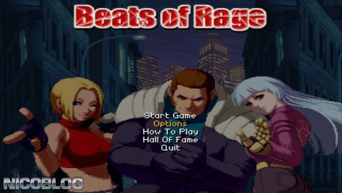 The coverart image of OPENBOR