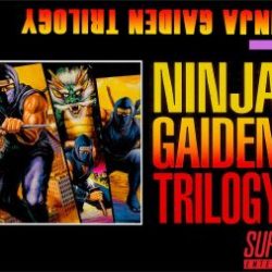 Ninja Gaiden Trilogy