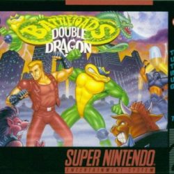 Battletoads & Double Dragon: The Ultimate Team