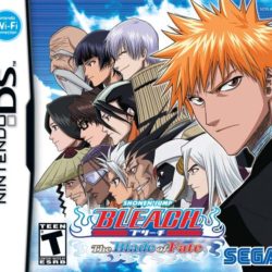 Coverart of Bleach: The Blade of Fate