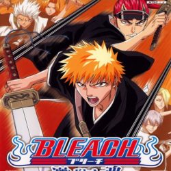 Bleach: Erabareshi Tamashii