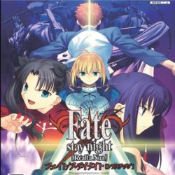 Fate/Stay Night Realta Nua