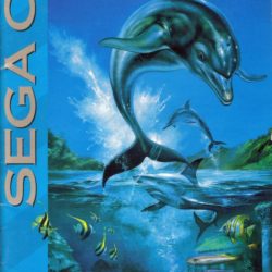 Ecco the Dolphin