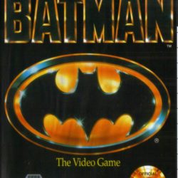 Batman: The Video Game