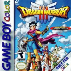 Coverart of Dragon Warrior III