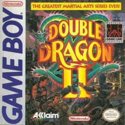 Double Dragon II 