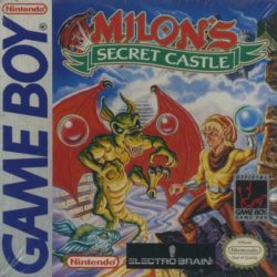 Milon's Secret Castle 