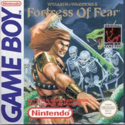 Coverart of Wizards & Warriors Chapter X - The Fortress of Fear 