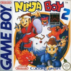 Ninja Boy 2