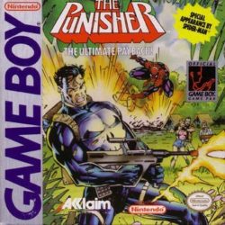 The Punisher - The Ultimate Payback