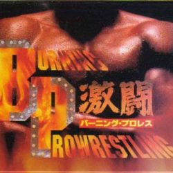 Gekitou Burning Pro Wrestling 