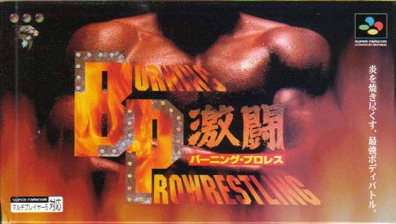The coverart image of Gekitou Burning Pro Wrestling