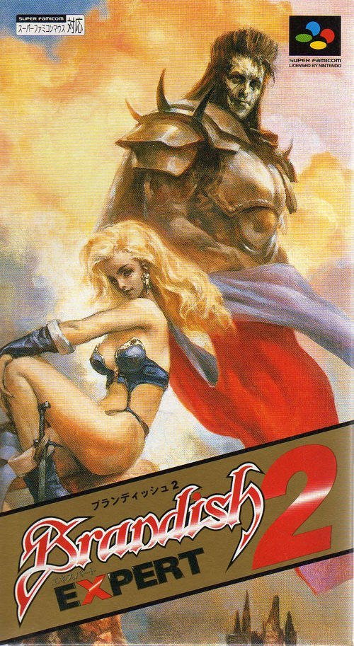 The coverart image of Brandish 2: Expert
