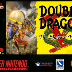 Double Dragon V: The Shadow Falls