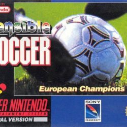 Sensible Soccer: European Champions