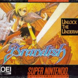 Brandish