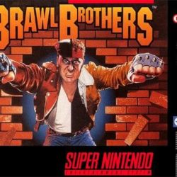 Coverart of Brawl Brothers