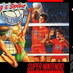 Dig & Spike Volleyball 