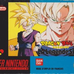 Dragon Ball Z: La Legende Saien 
