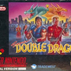 Super Double Dragon