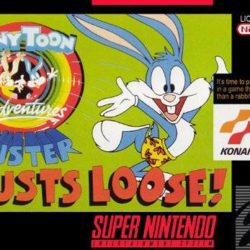 Tiny Toon Adventures - Buster Busts Loose!