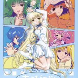 Coverart of Chobits: Chiidake no Hito