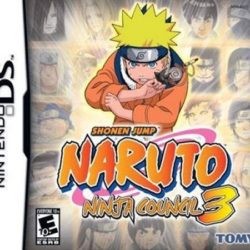 Naruto: Ninja Council 3