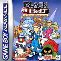 Coverart of Black Belt Challenge 