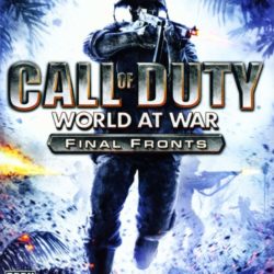 Call of Duty: World at War - Final Fronts