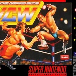 Natsume Championship Wrestling 